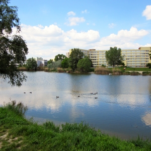 Rohlík lake